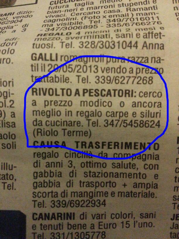 Diverse - anunt in presa italiana!!!! oare o fi roman???